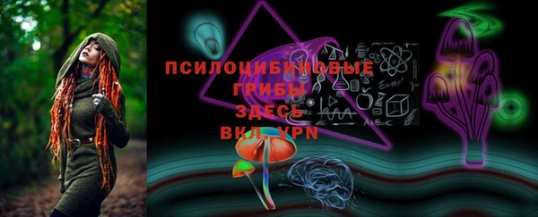 apvp Нефтегорск