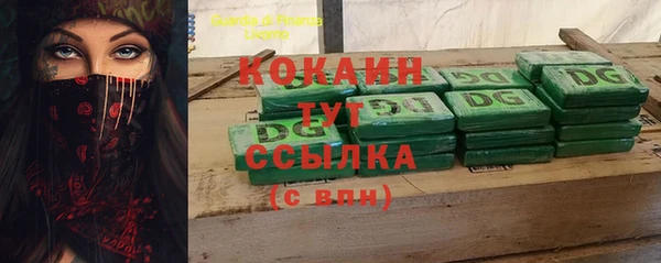 индика Нефтекумск