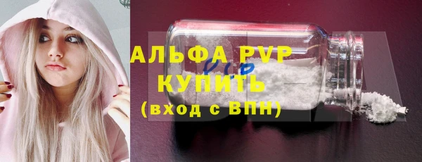 индика Нефтекумск