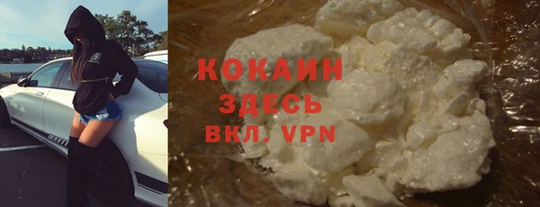 дмт Нея