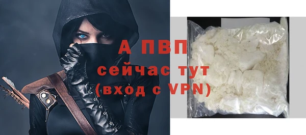 дмт Нея